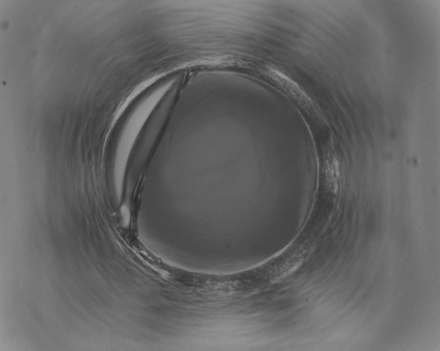 X0000075860484200610151639