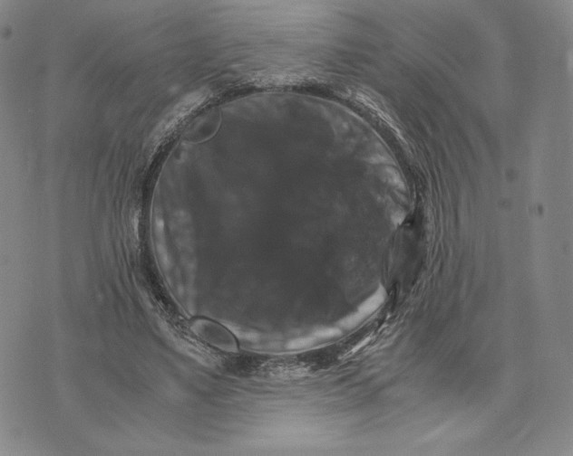 X0000075860491200610151639