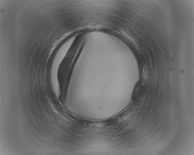 X0000075860492200610151639