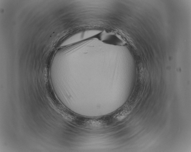 X0000075860498200610151639