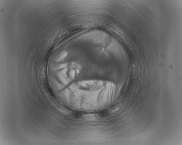 X0000075860499200610151639