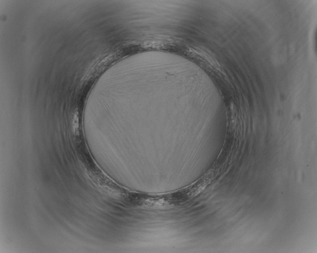 X0000075860502200610151639