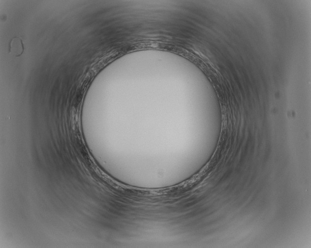 X0000075860504200610151639