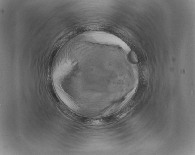 X0000075860507200610151639
