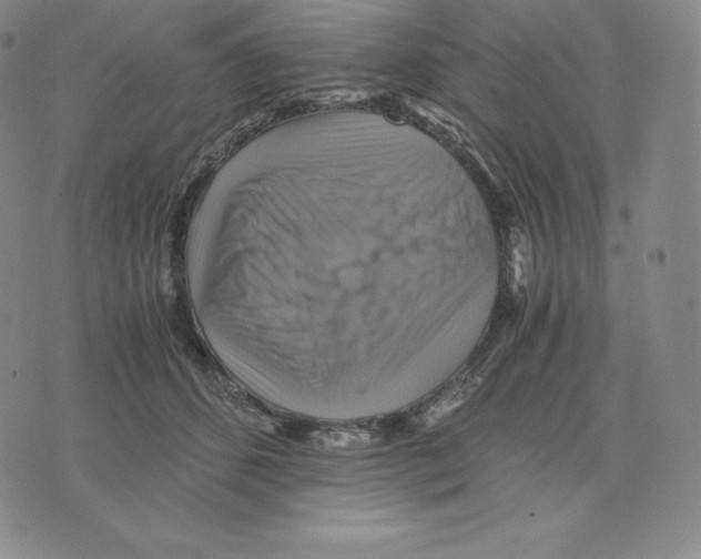 X0000075860512200610151639