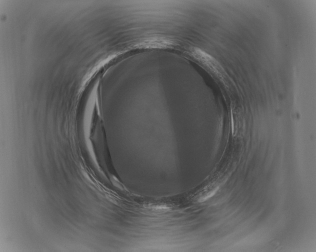 X0000075860531200610151638