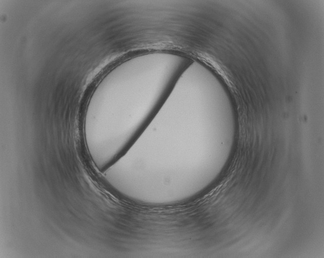 X0000075860532200610151638