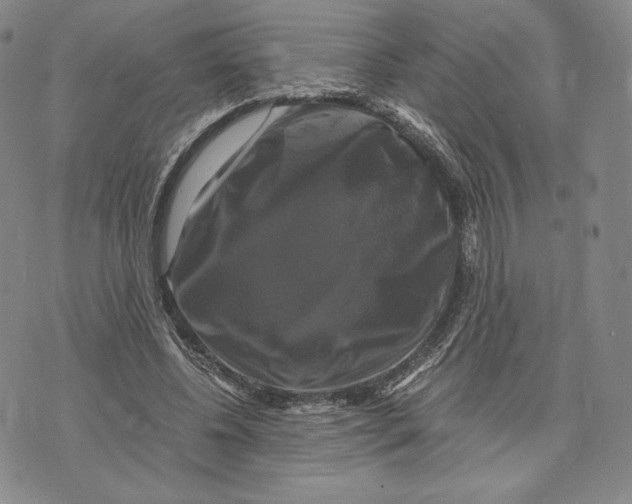 X0000075860540200610151638