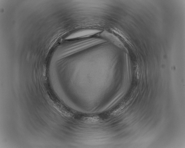 X0000075860548200610151638