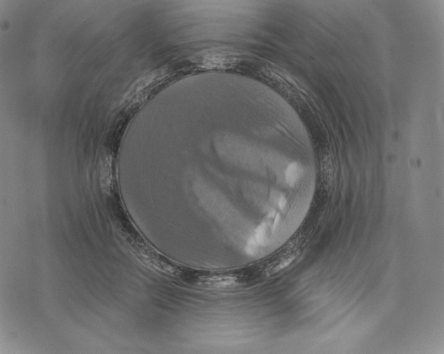 X0000075860554200610151638