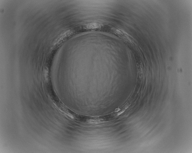 X0000075860556200610151638