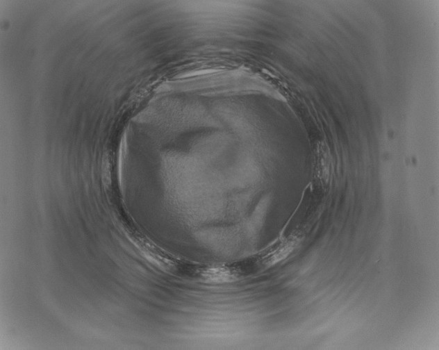 X0000075860562200610151638