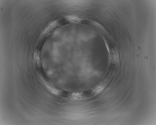 X0000075860573200610151638