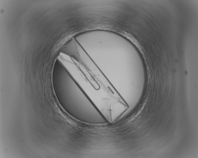 X0000075860577200610151637