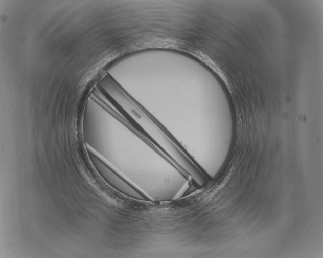 X0000075860581200610151637