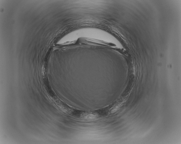 X0000075860597200610151637