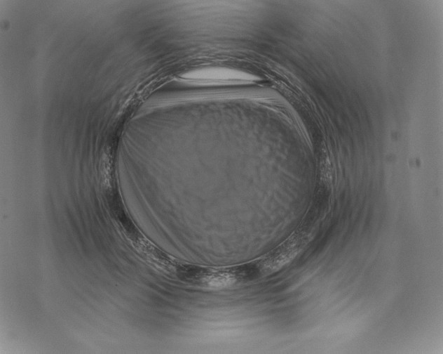 X0000075860604200610151637
