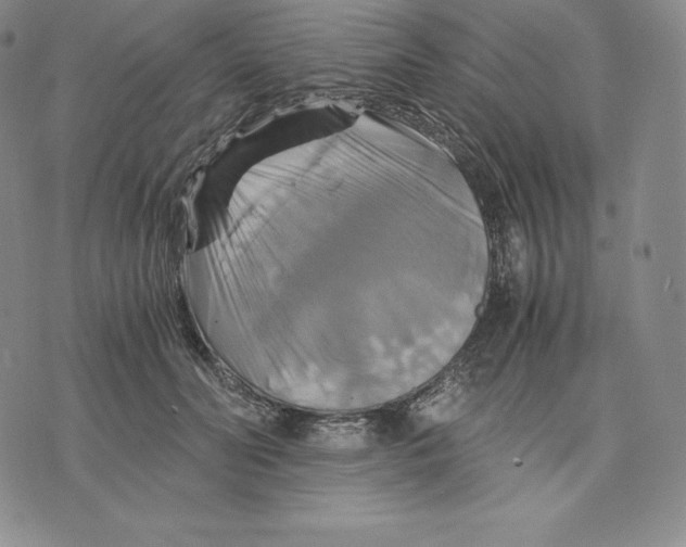 X0000075860606200610151637