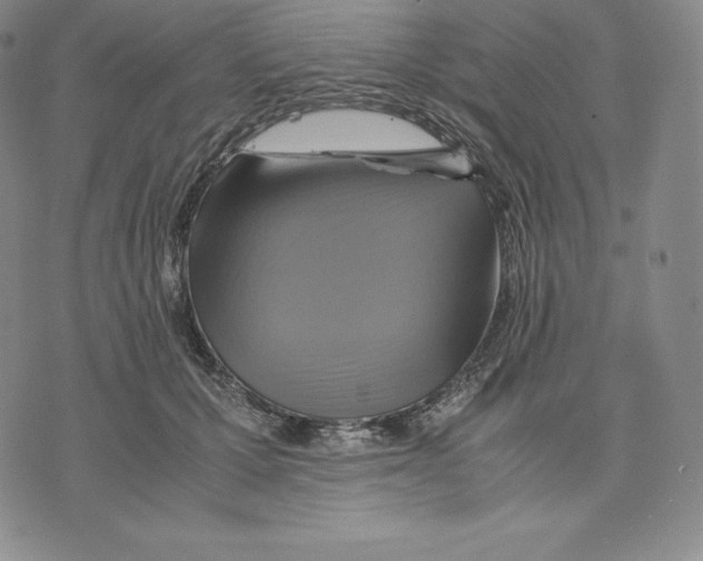 X0000075860607200610151637