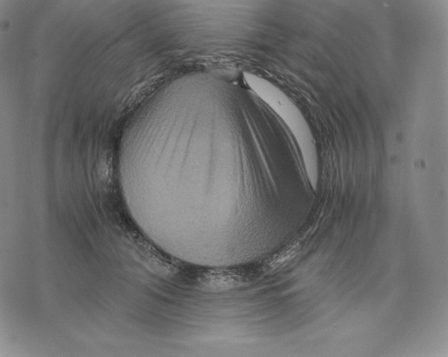 X0000075860608200610151637