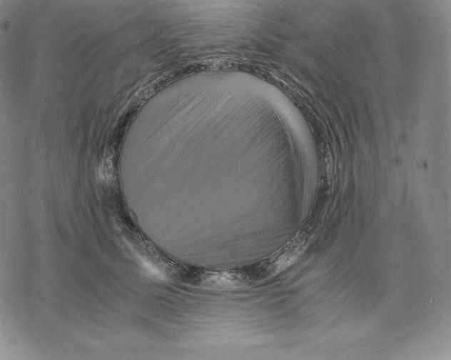 X0000075860611200610151637