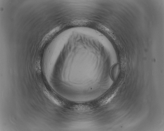 X0000075860633200610151636