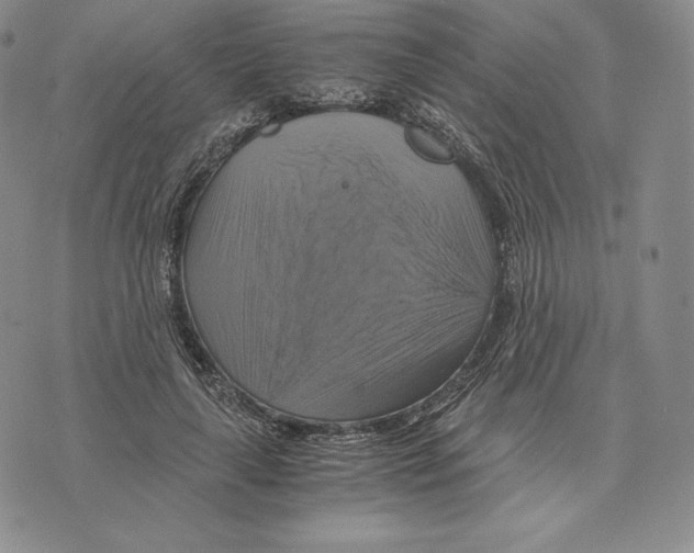X0000075860643200610151636