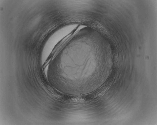 X0000075860644200610151636