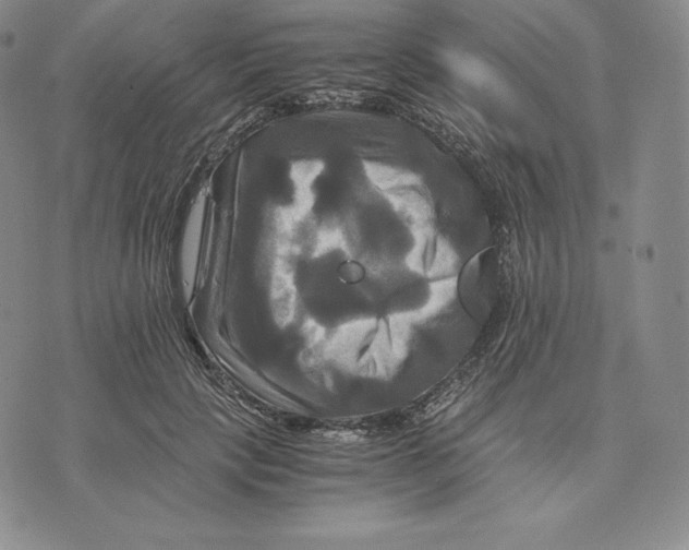 X0000075860649200610151636