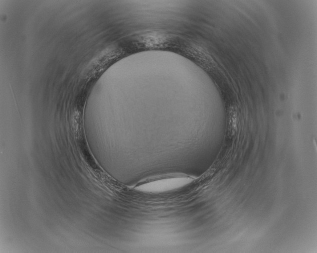 X0000075860650200610151636