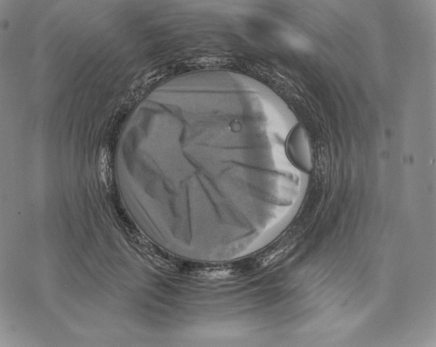 X0000075860651200610151636