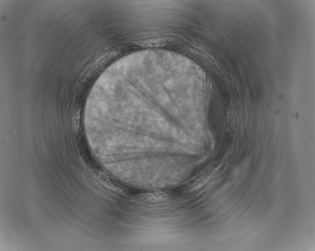 X0000075860652200610151636