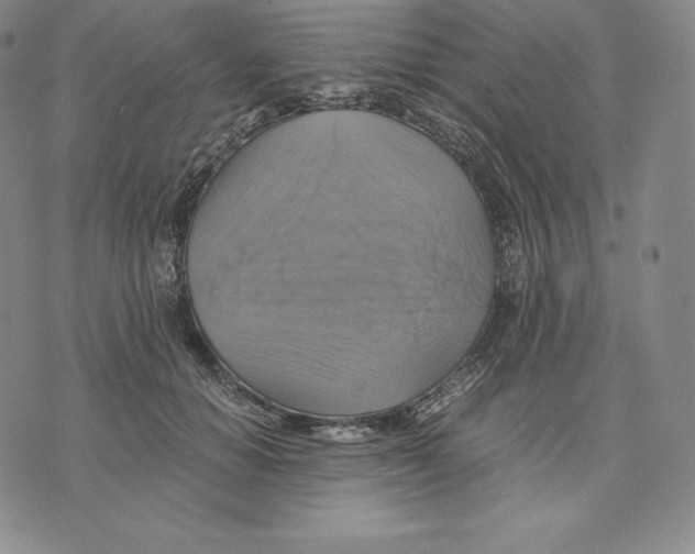 X0000075860654200610151636