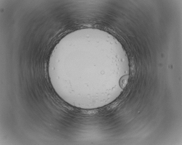 X0000075860656200610151636