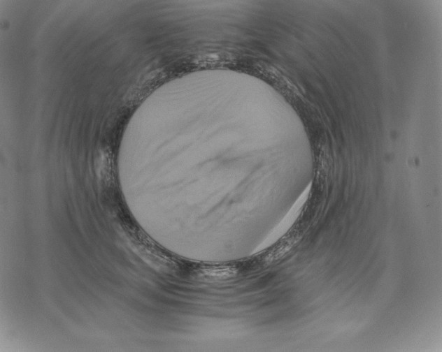X0000075860659200610151636