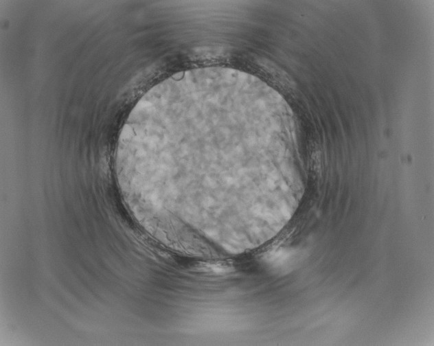 X0000075860662200610151637