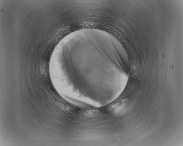 X0000075860663200610151637