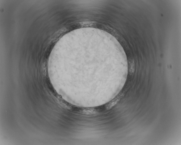 X0000075860666200610151637