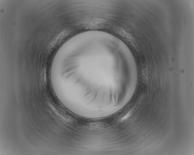 X0000075860686200610151636