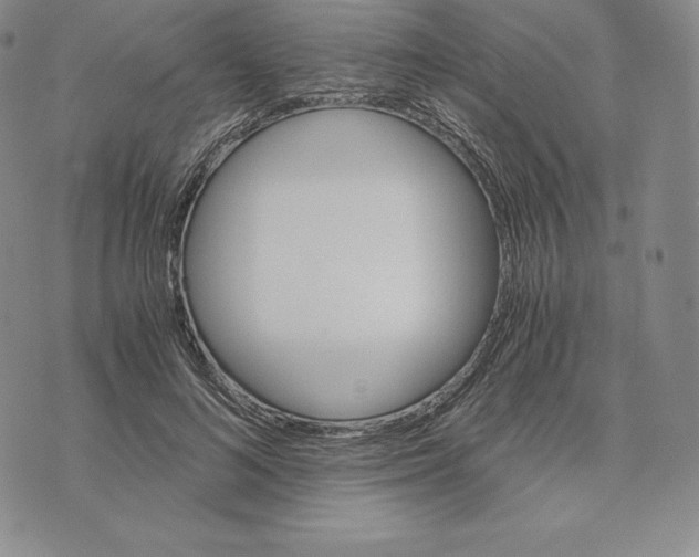 X0000075860692200610151636