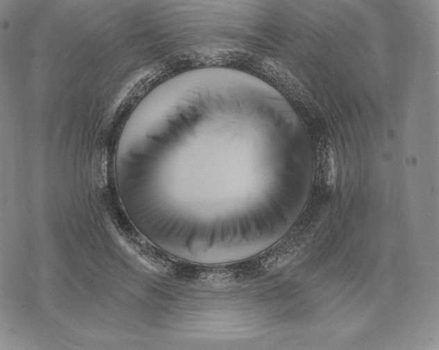 X0000075860694200610151636