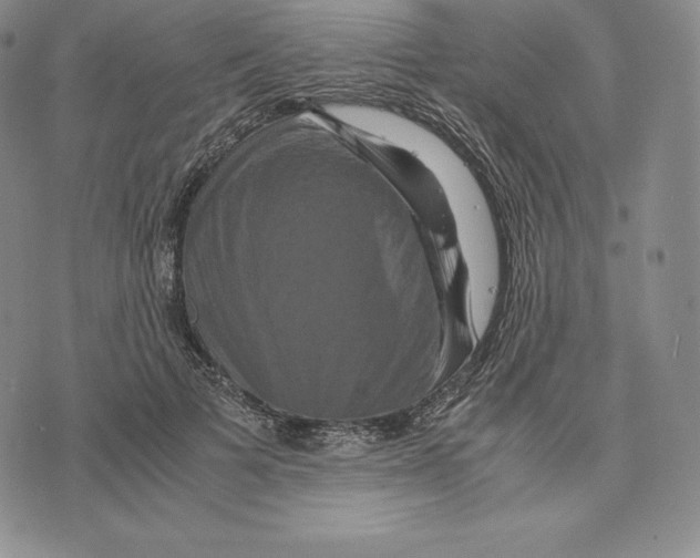 X0000075860697200610151636