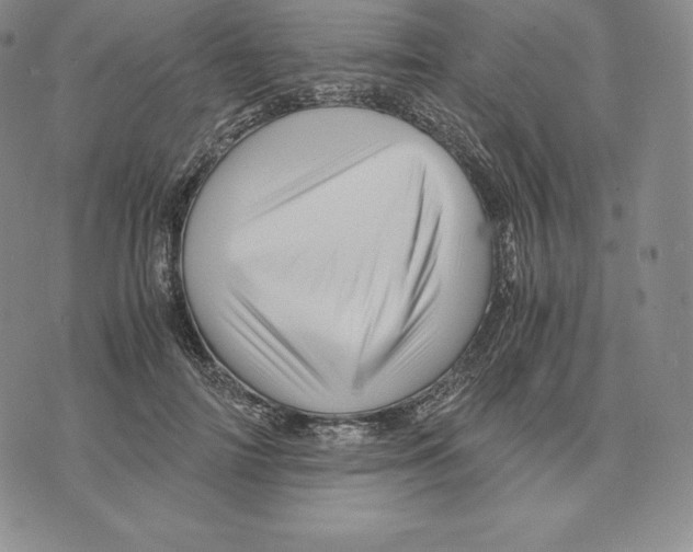 X0000075860698200610151635