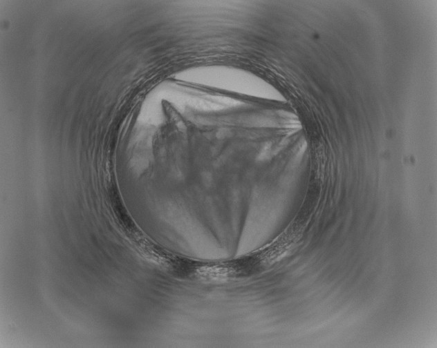 X0000075860699200610151635