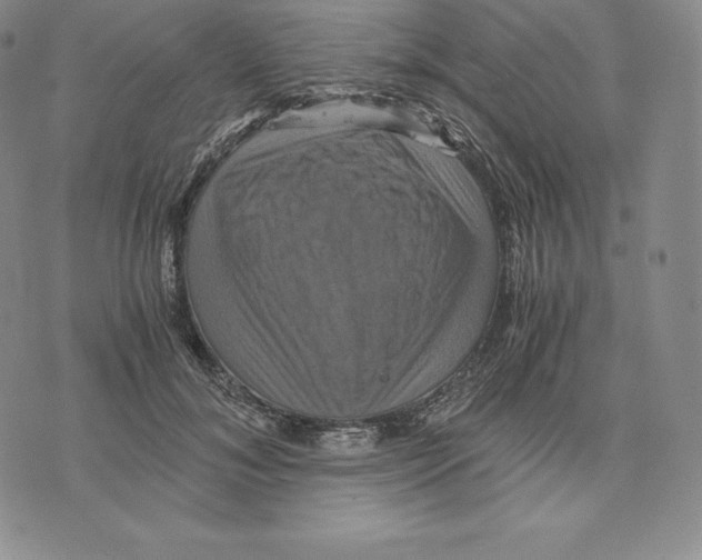 X0000075860700200610151635