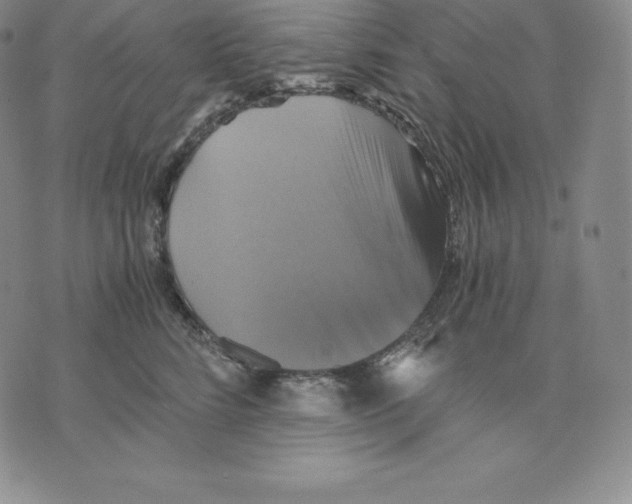 X0000075860712200610151635