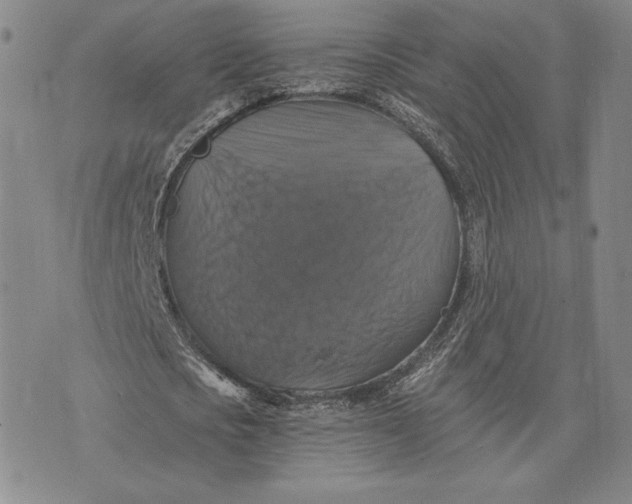 X0000075860721200610151634