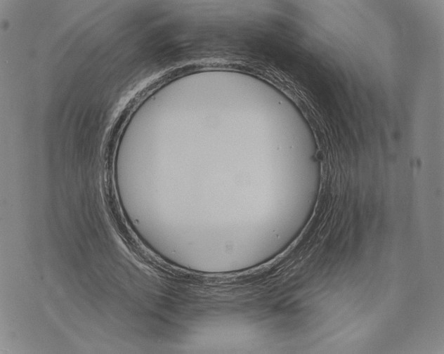 X0000075860728200610151634