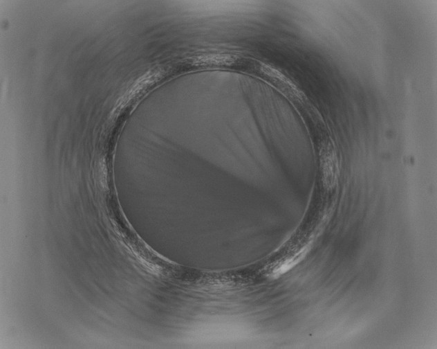 X0000075860729200610151634