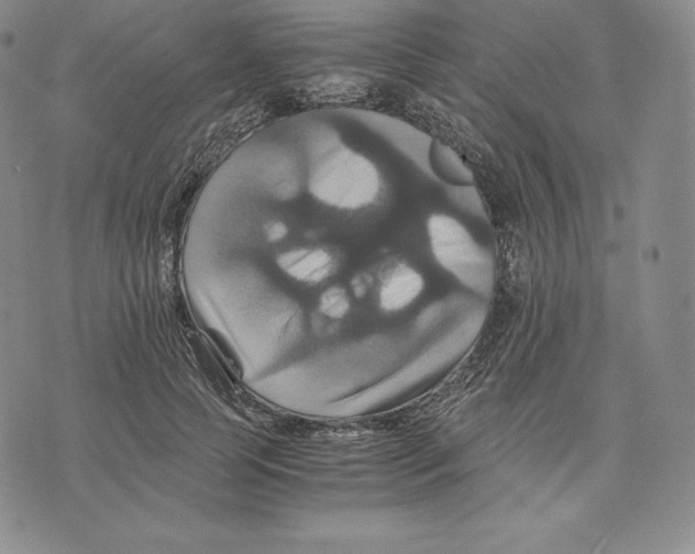 X0000075860745200610151635